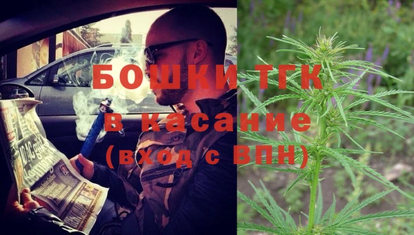 экстази Бородино